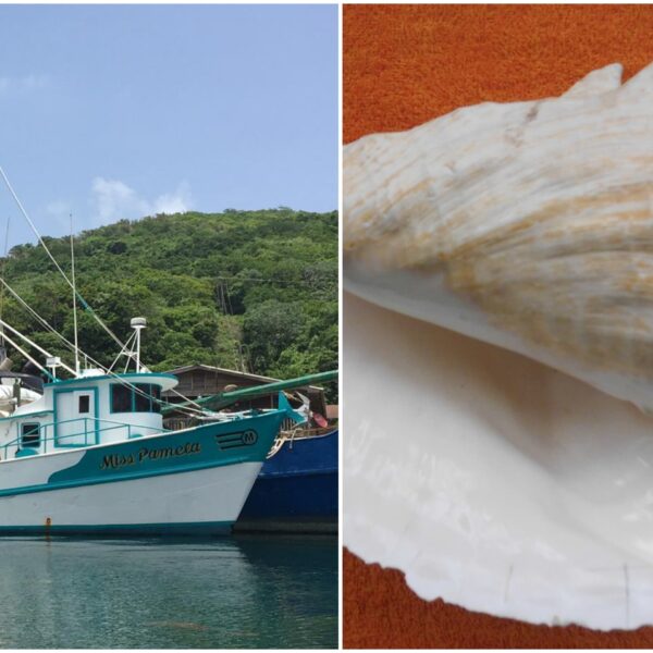 “Caracoles”: sobrenombre que se convirtió en identidad isleña