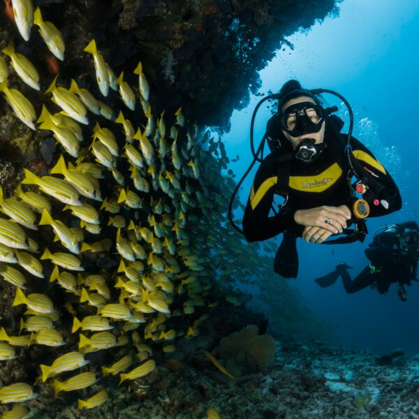 Roatán celebra por primera vez el Día Internacional del Buceo