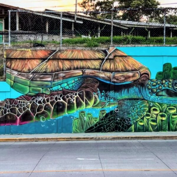 Kevin Castejón transforma French Harbour con el mural más grande de Islas de la Bahía