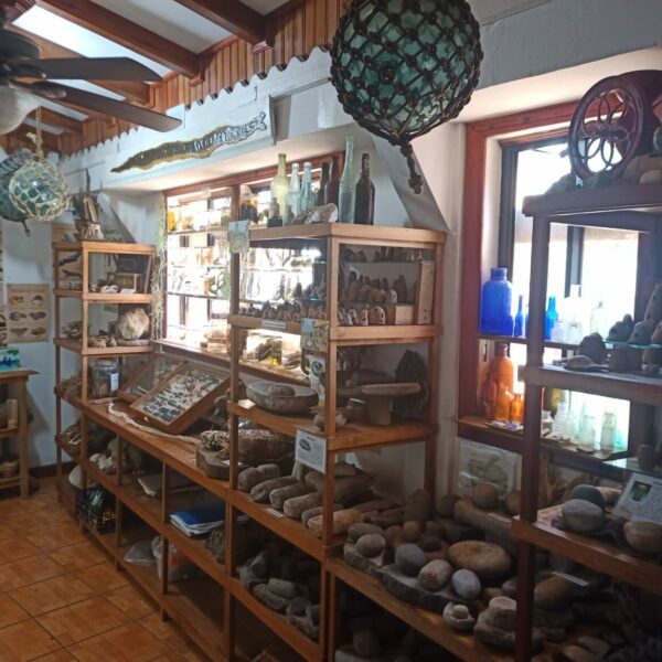 Descubre los tesoros mejor guardados de Utila en su Museo de Historia y Cultura