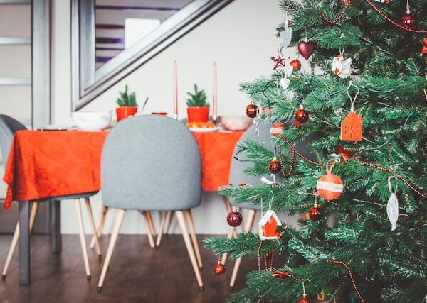 Guía básica para elegir el árbol de navidad perfecto por Andrea Mejía