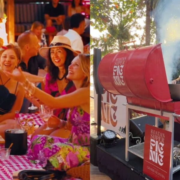 Super Picnic: donde la naturaleza se viste de lujo