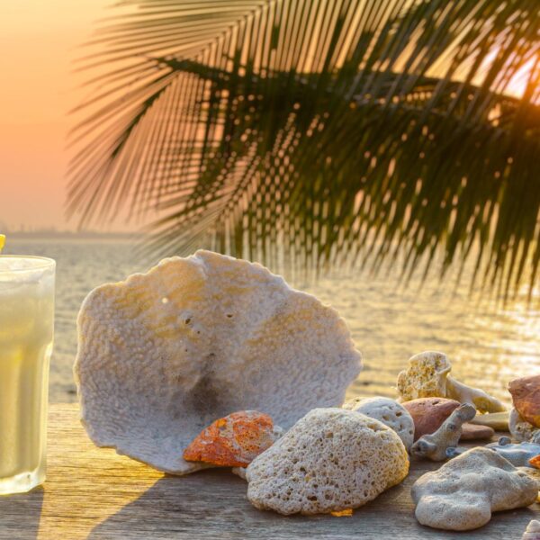 Piña colada en Roatán: el sabor tropical que representa al Caribe